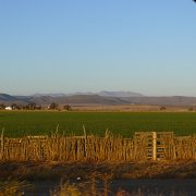 Baja2011 084 : Baja2011